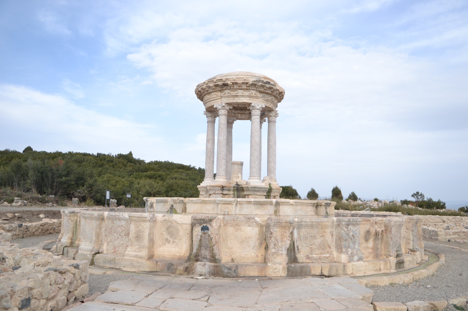 Whatsapp Image 2025 11 24 At 12.49.00