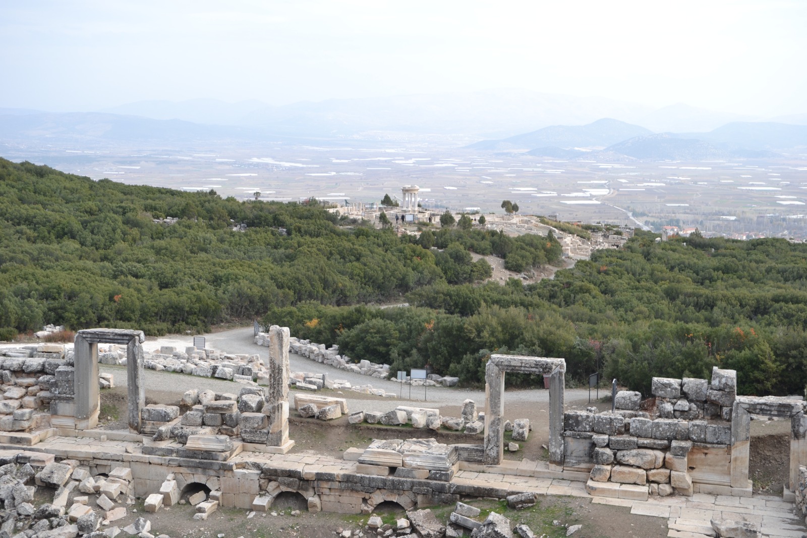 Whatsapp Image 2025 11 24 At 12.51.22