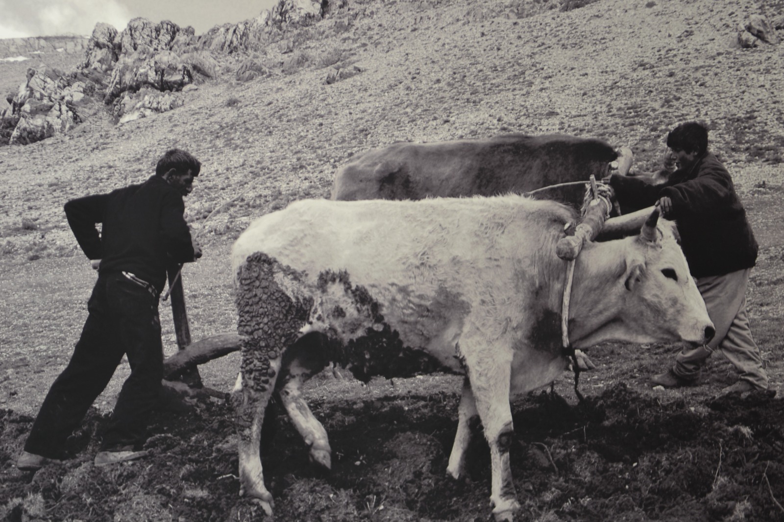 Whatsapp Image 2025 11 26 At 10.44.16