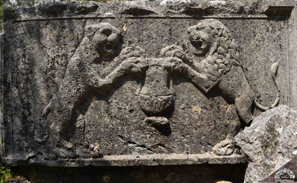 20190507163450803 Antalya Termessos Gulcanacar (15)-1