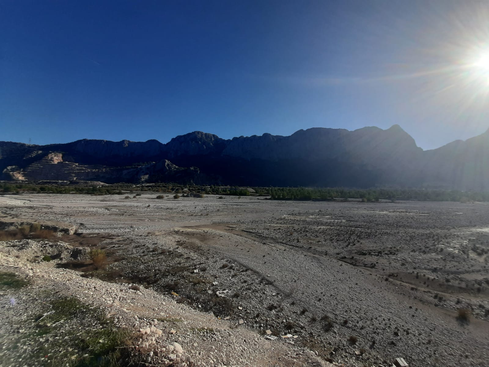 7Cecd98A 3396 4556 A94B Bb57C74A2Cd1