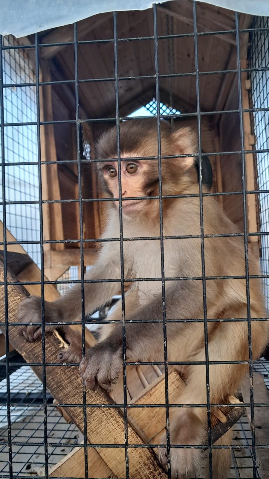 A N T A L Y A D A K A C A K C I L I K O P E R A S Y O N L A R I 1053426 312552