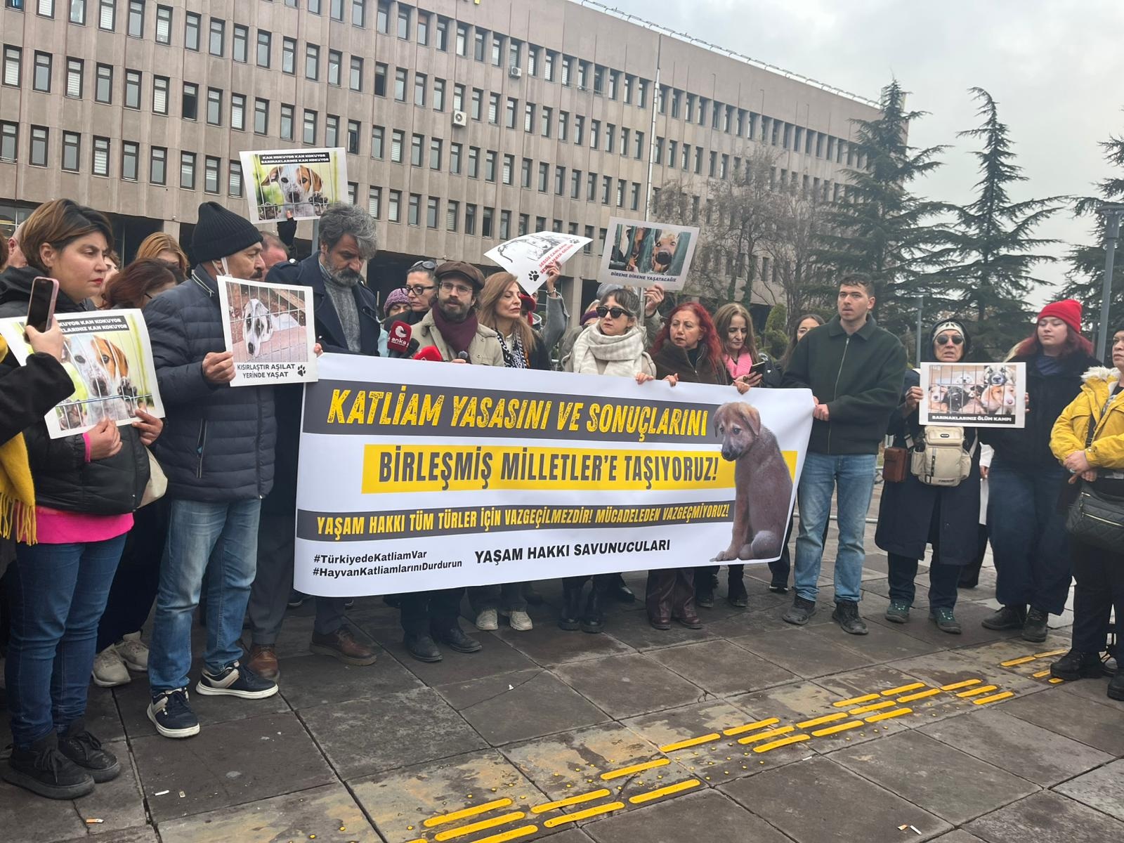 B A R I N A K T A C O P P O S E T L E R I N D E K I O L U K O P E K L E 1081353 320967