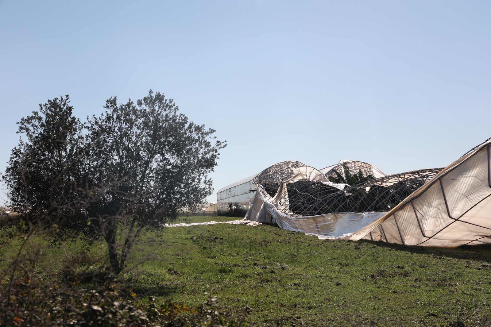 Büyükşehir Belediyesi Seraları Zarar Gören Çiftçinin Yanında (6)