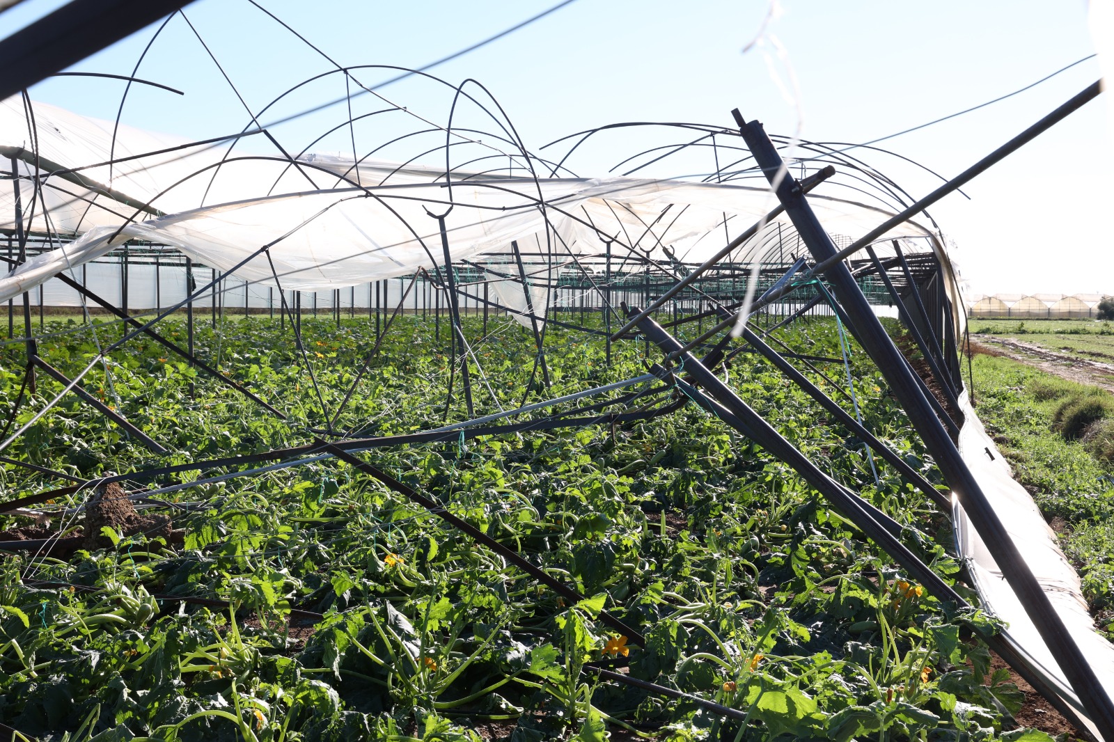 Büyükşehir Belediyesi Seraları Zarar Gören Çiftçinin Yanında (9)