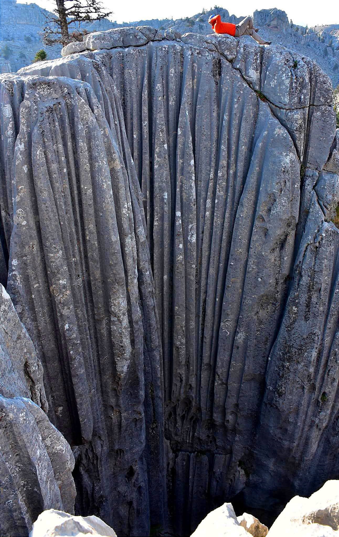 G I D E N G E L M E Z D A G L A R I N I N K O R K U T A N U C U R U M 1076616 319424