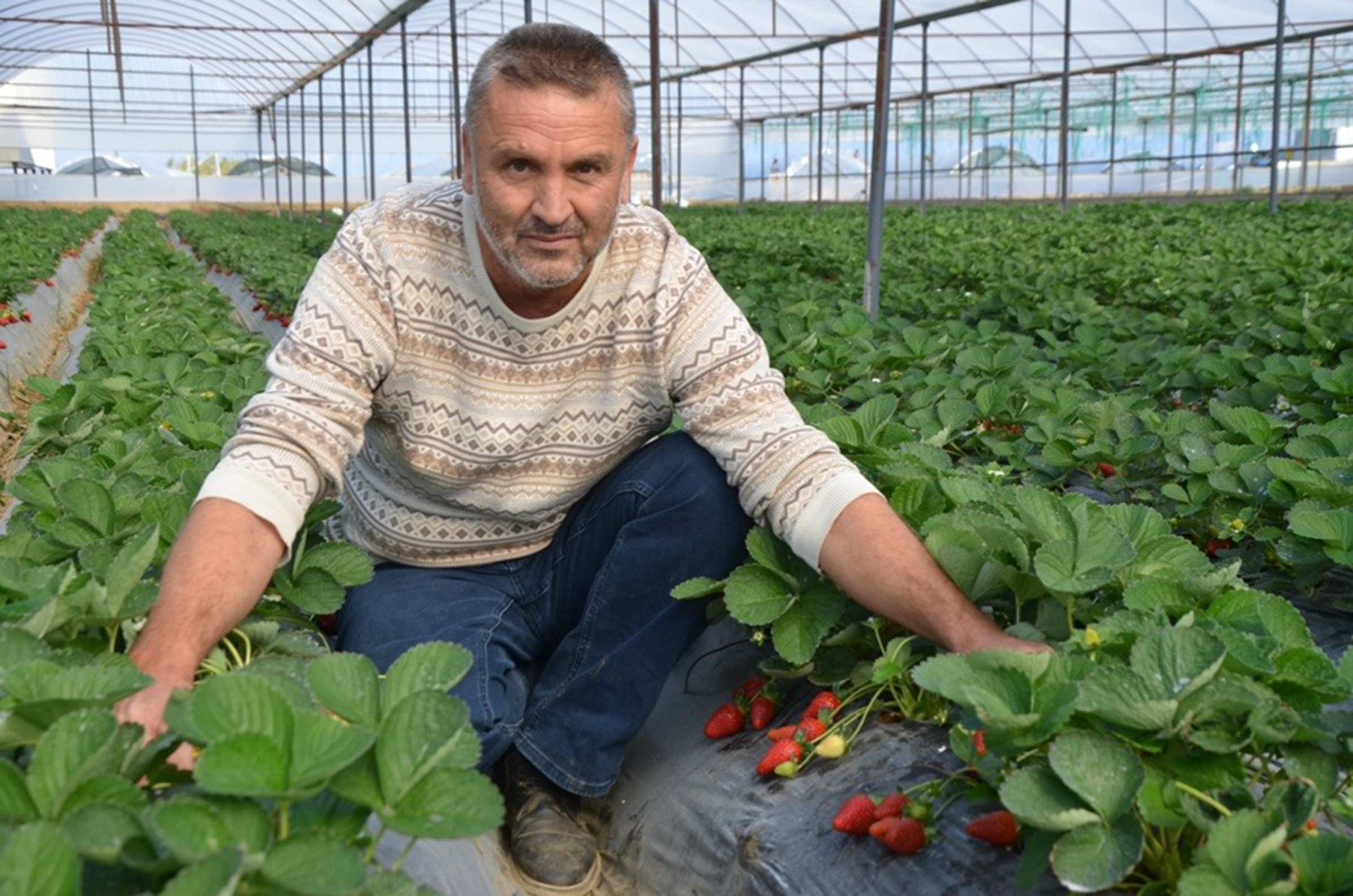 K A D R I Y E C I L E G I N E C O G R A F I I S A R E T B A S V U R U S 1087224 322730