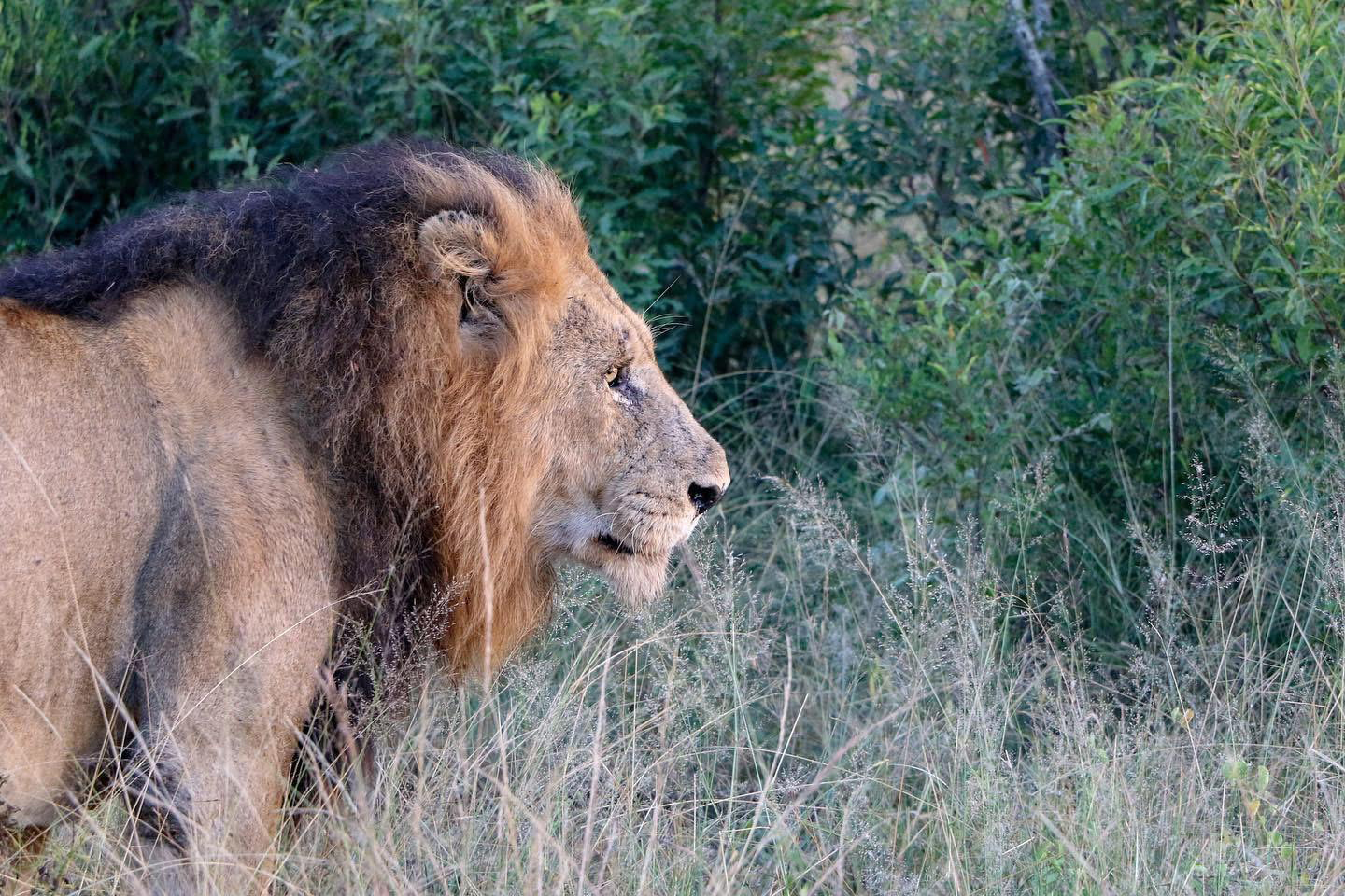 O B J E K T I F E Y A N S I Y A N V A H S I Y A S A M 1054719 312987