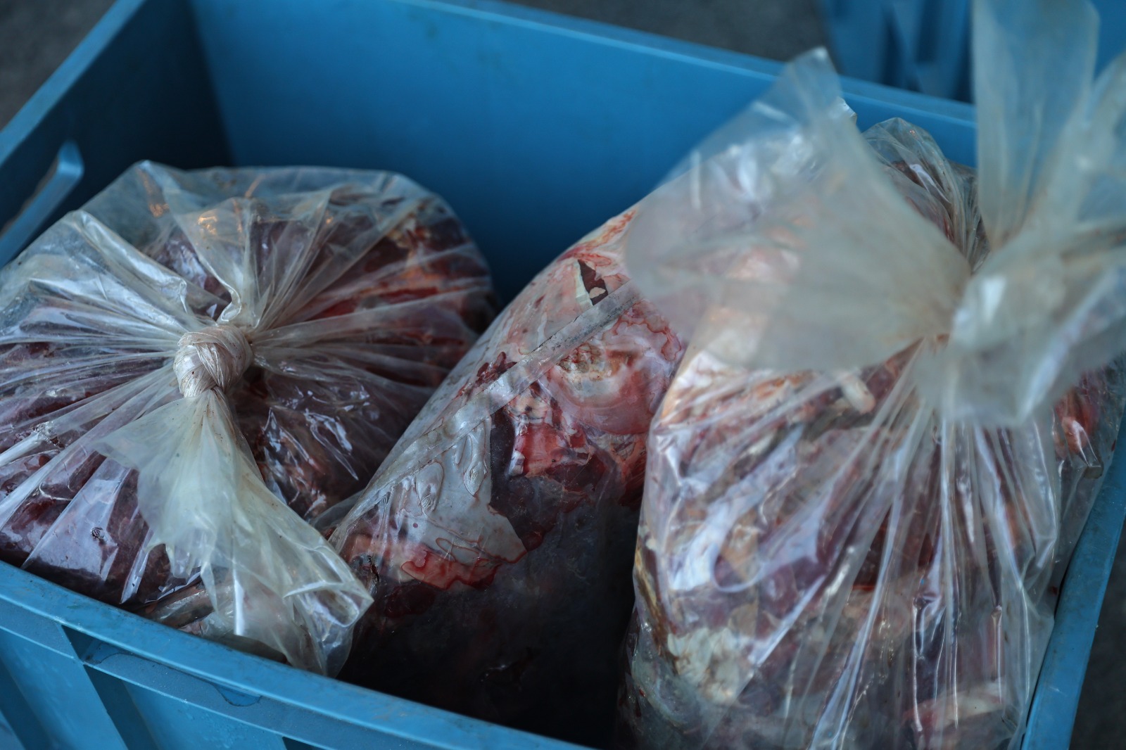 O T O G A R D A U S U L S U Z T A S I N A N 270 K I L O E T E E L 1044859 310063