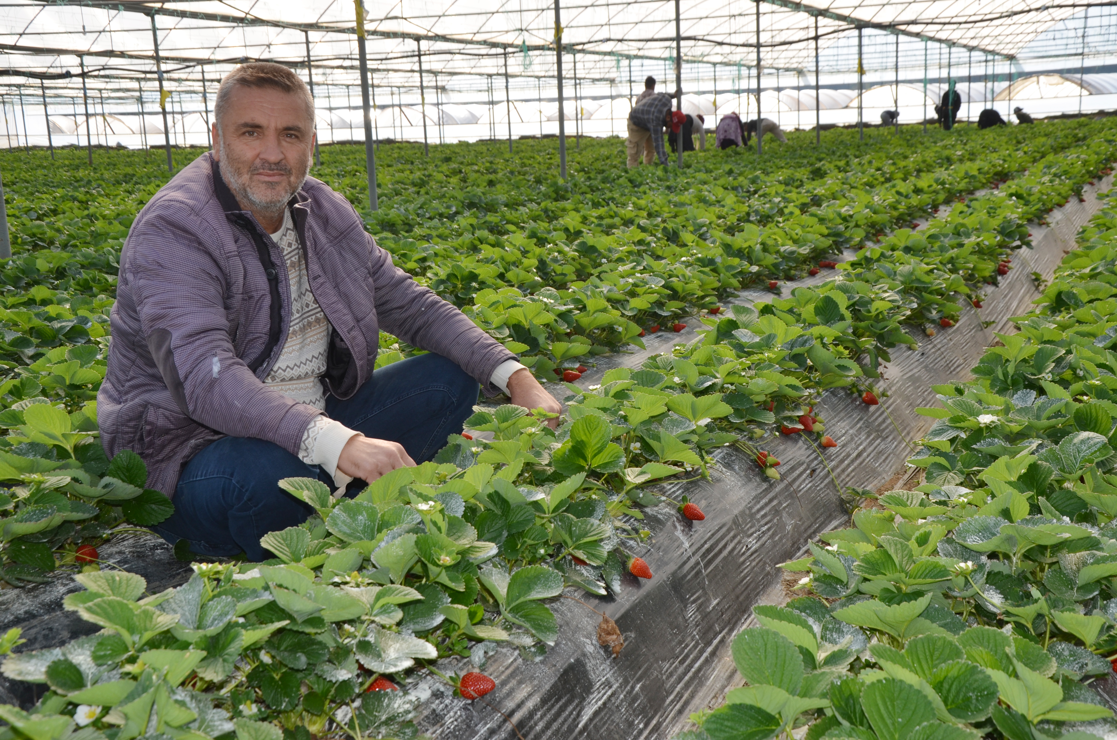 S E R I K T E T U R F A N D A C I L E K H A S A D I B A S L A D I 1064598 315889