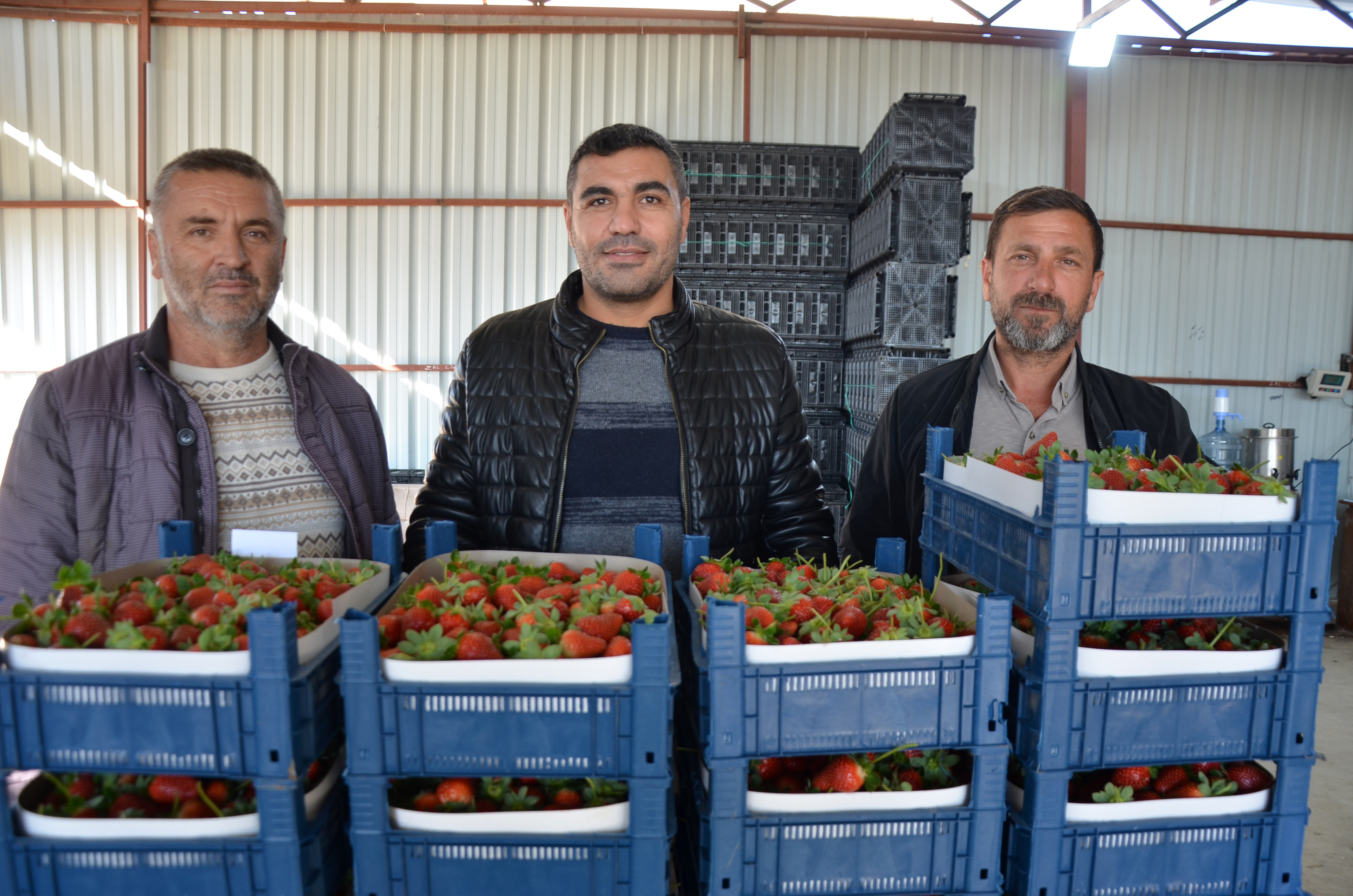 S E R I K T E T U R F A N D A C I L E K H A S A D I B A S L A D I 1064602 315889