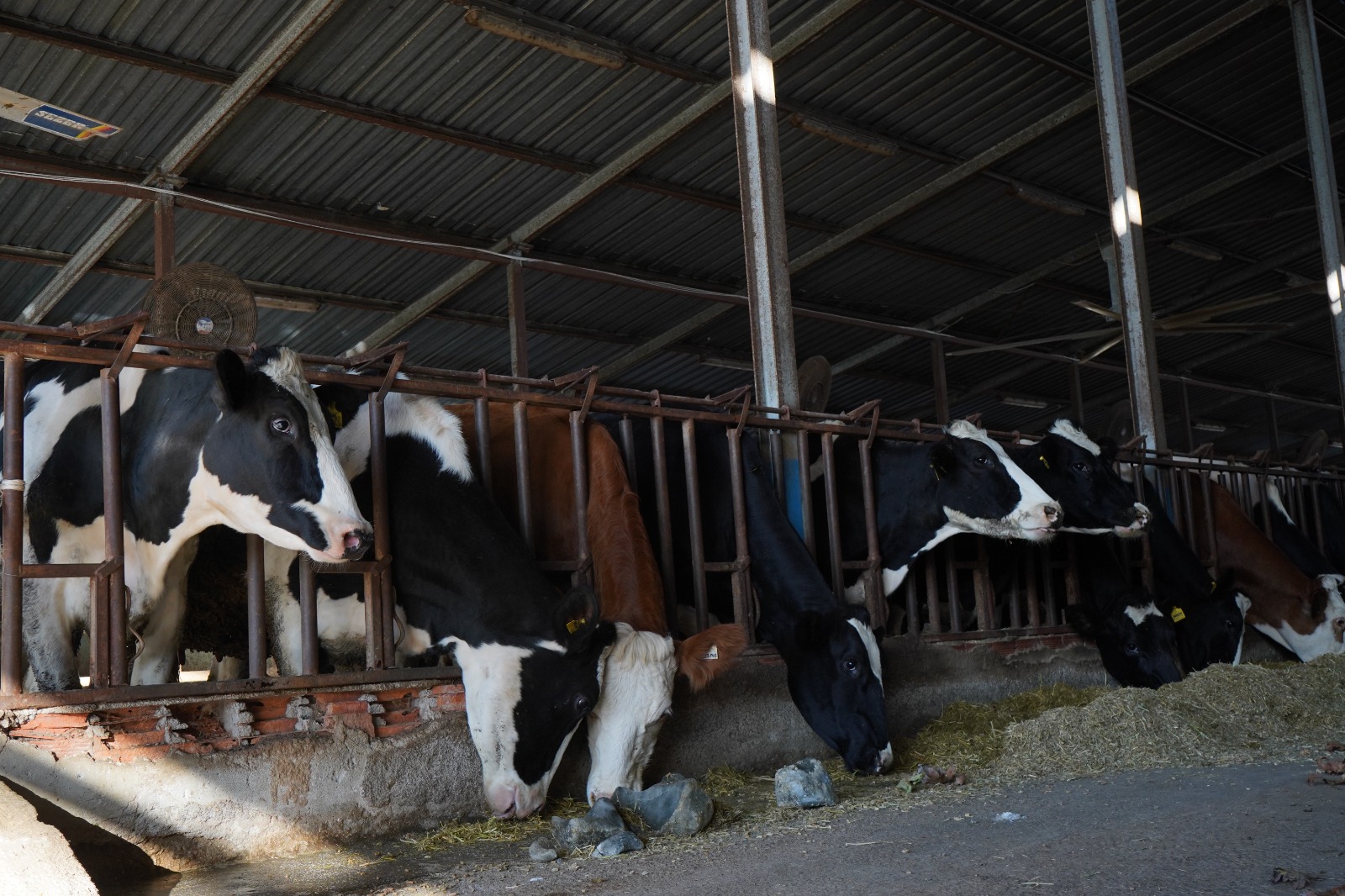 Universiteden Sofraya 1076641 319425 (1)