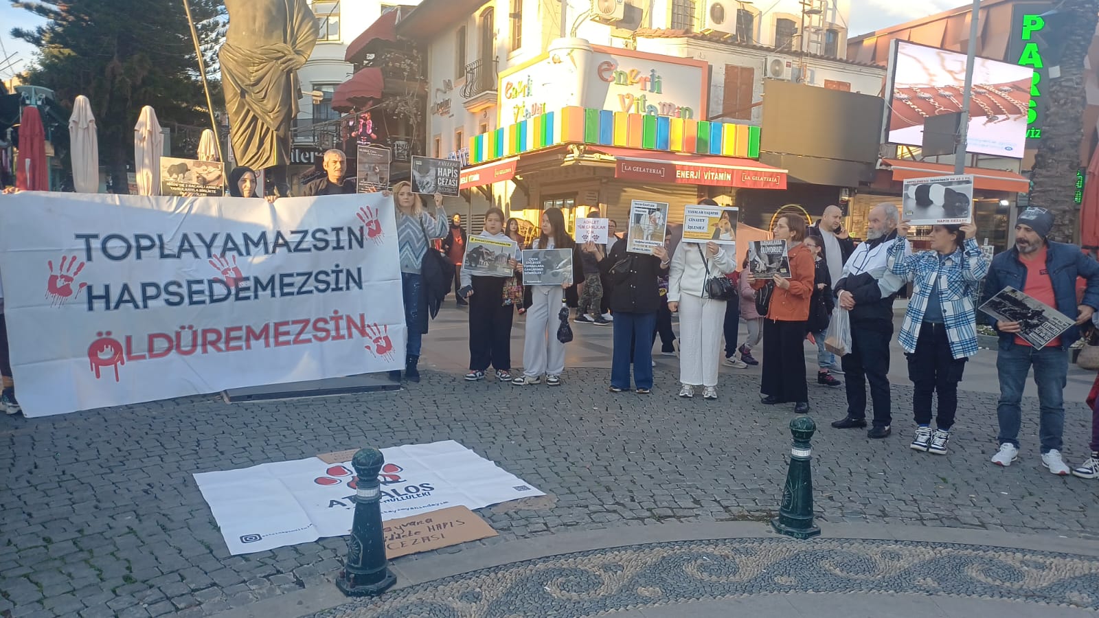 Whatsapp Image 2025 12 08 At 10.03.50