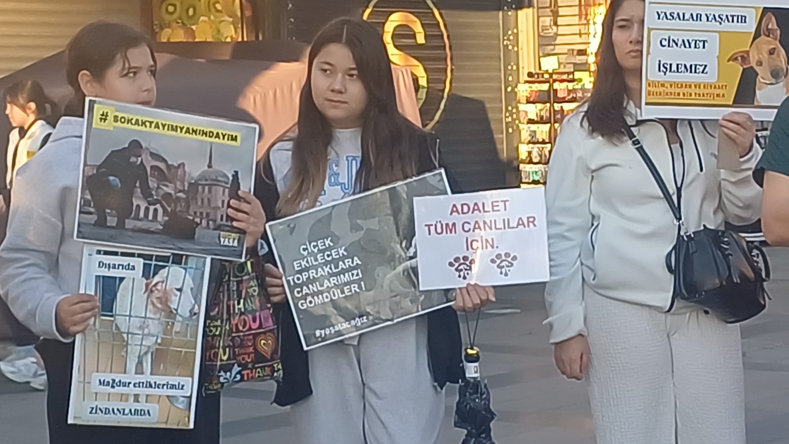 Whatsapp Image 2025 12 08 At 10.04.12