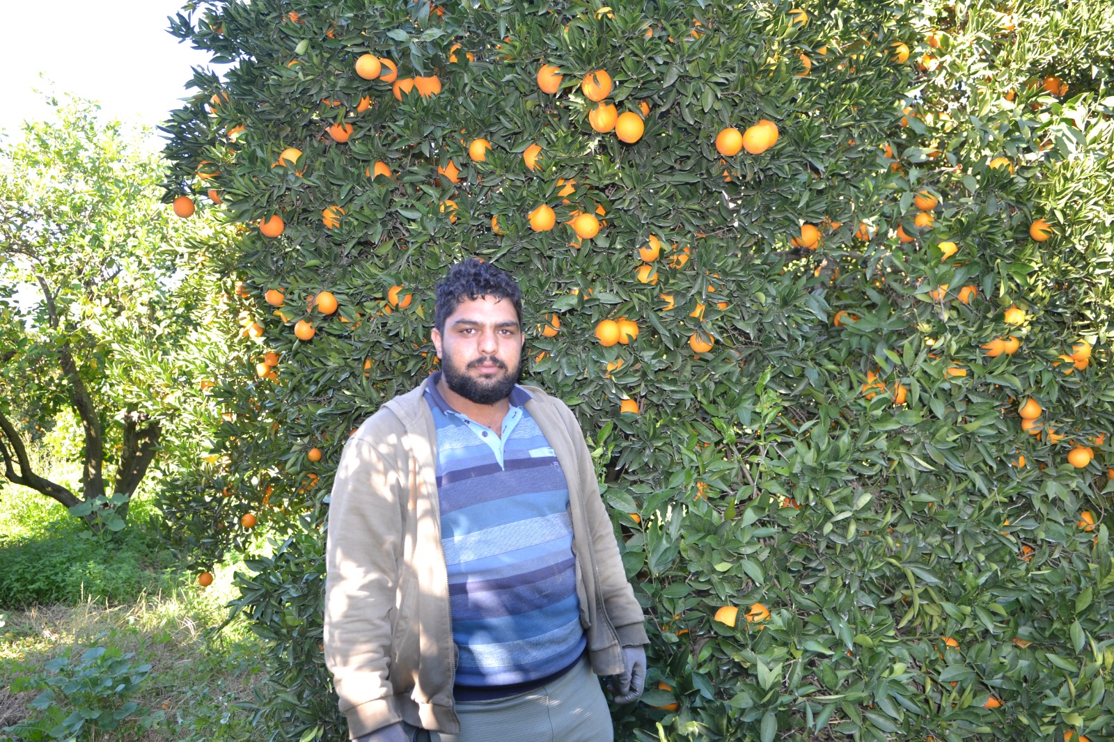 Whatsapp Image 2025 12 20 At 14.37.13