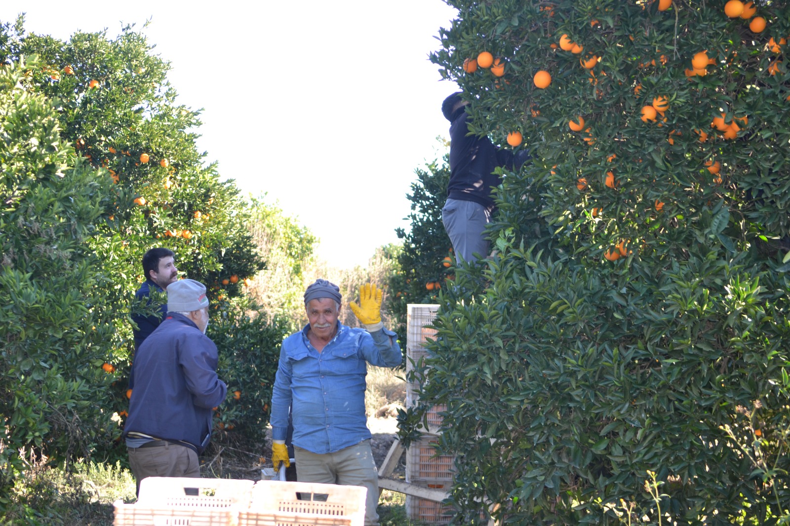 Whatsapp Image 2025 12 20 At 14.40.25