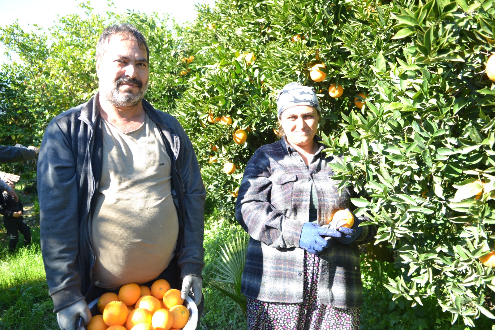 Whatsapp Image 2025 12 20 At 14.41.54