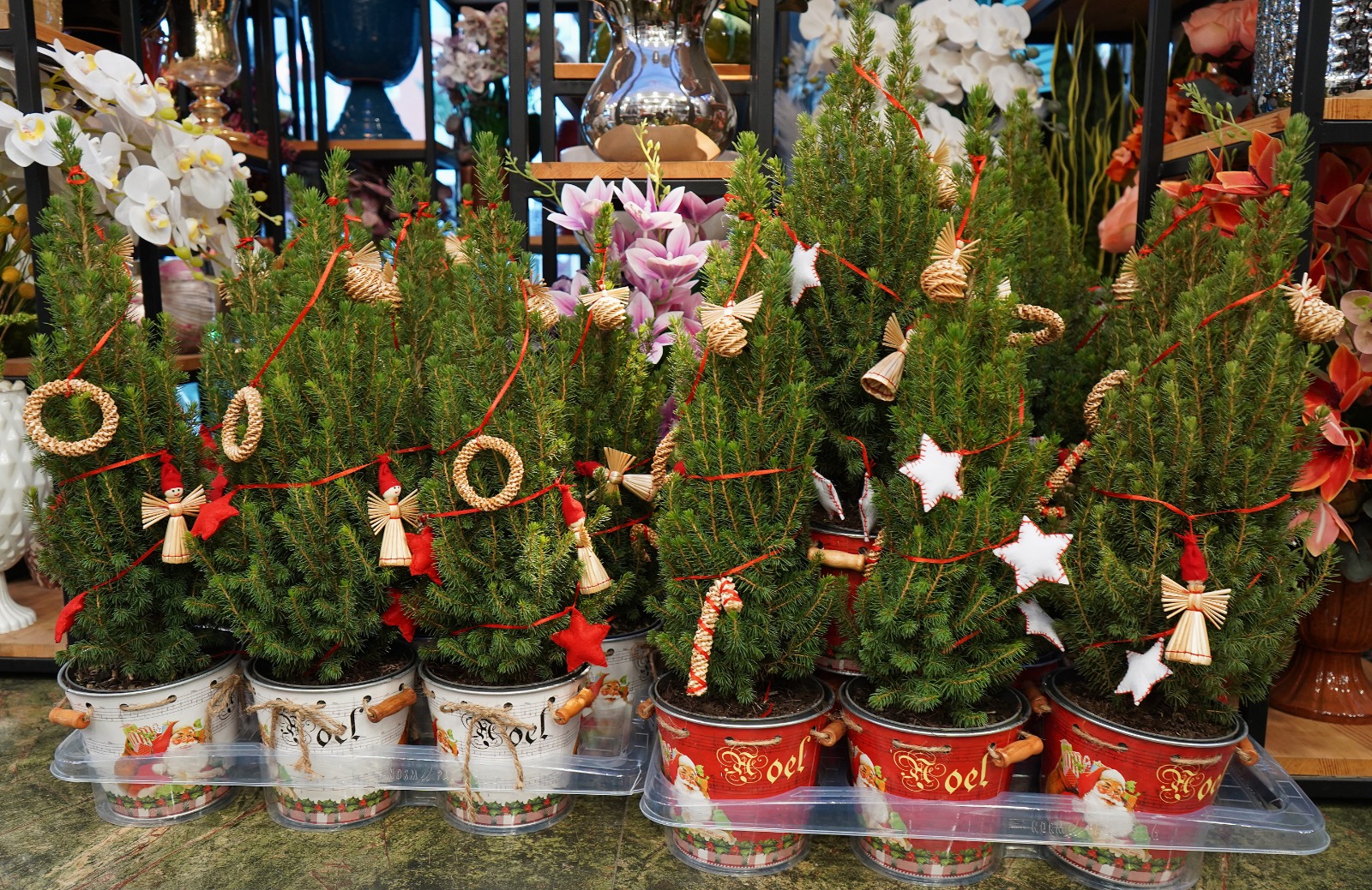 Y E N I Y I L S E P E T L E R I 3 B I N L I R A D A N C A N L I 1074075 318705