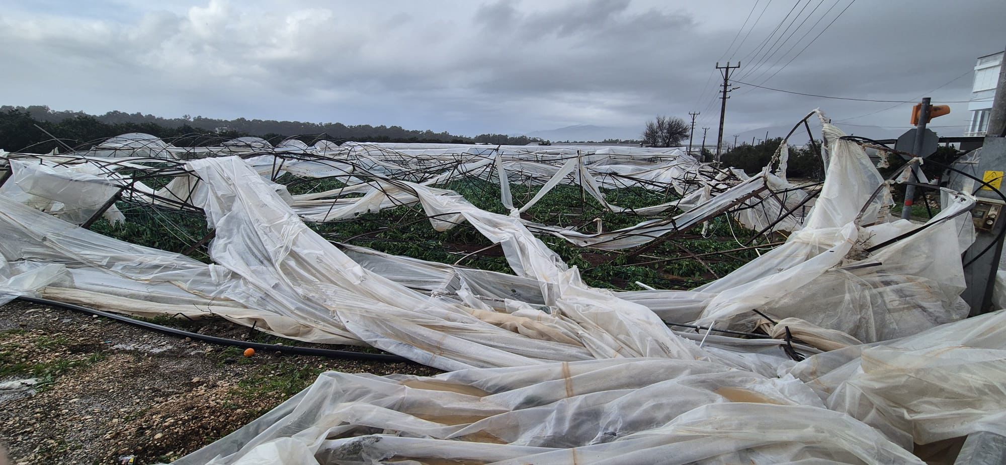 0334F3Fe A75B 446D 8579 E5Cba035963B