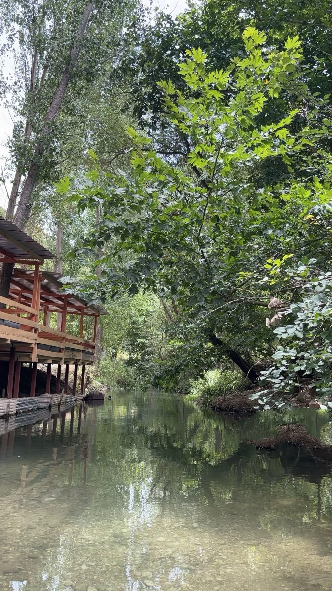 056Efa76 B9C9 4E24 B4A5 Bb3251Afa041