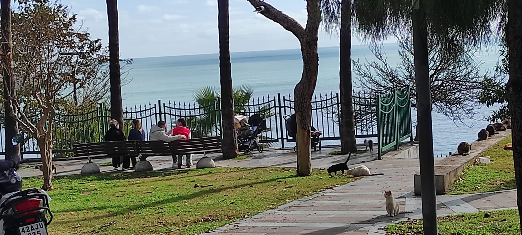 2783F193 59A4 4D56 Ba3E 924238B44D6D