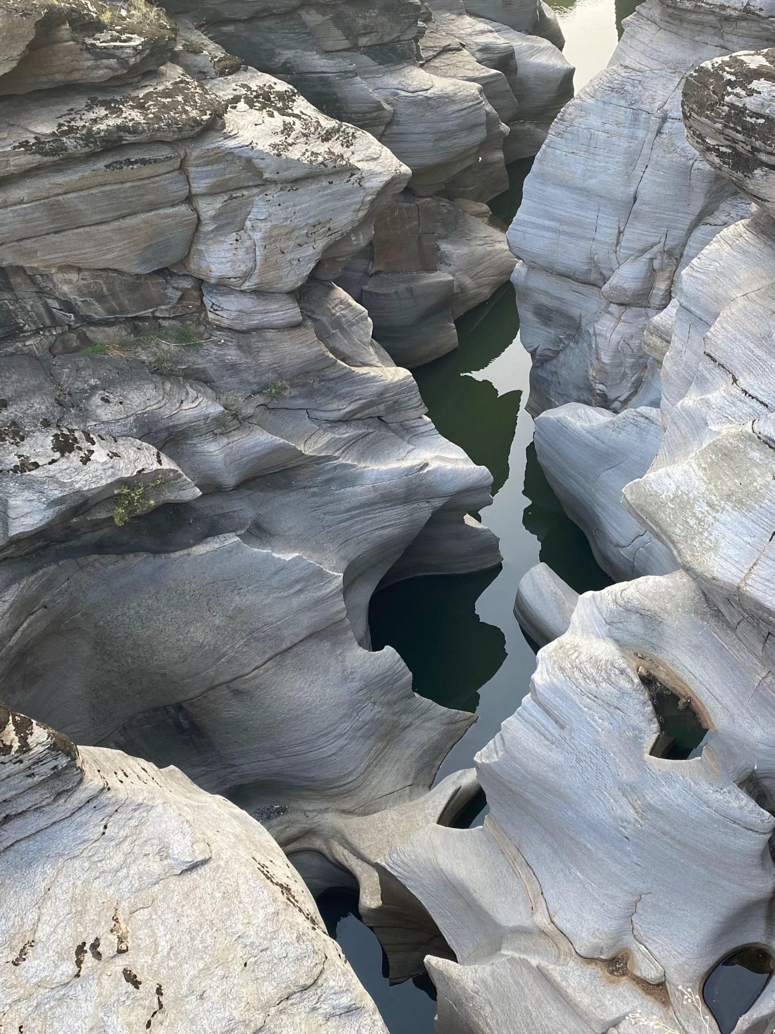 5A7738F9 98Db 4B41 97C1 9A328769A36F