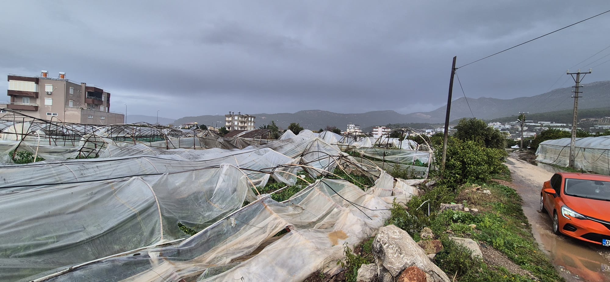 6E63C7D0 8Fd5 4A33 8E71 Cb3072B84Dee