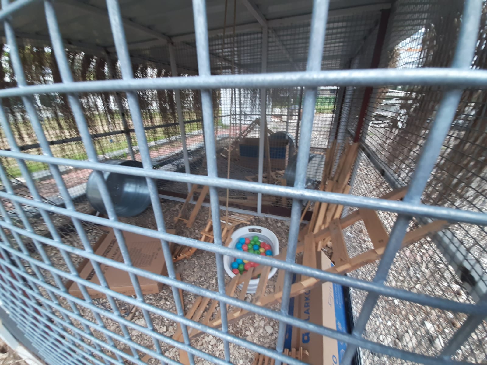 91Bfe166 6876 40B6 869F 061612653C50