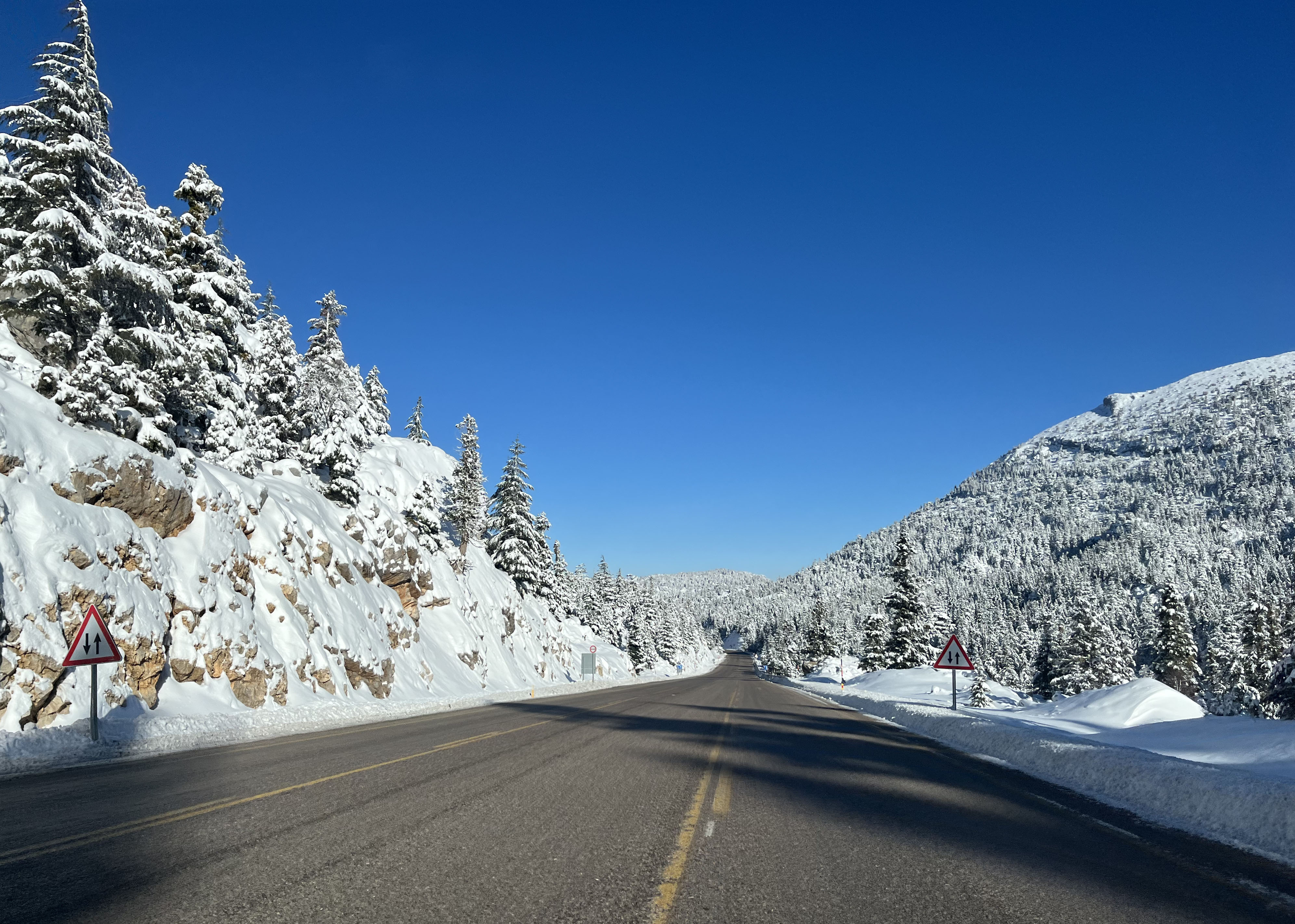 A L A C A B E L D E H A Y R A N B I R A K A N K A R M A N Z A R A S I 1116790 331583