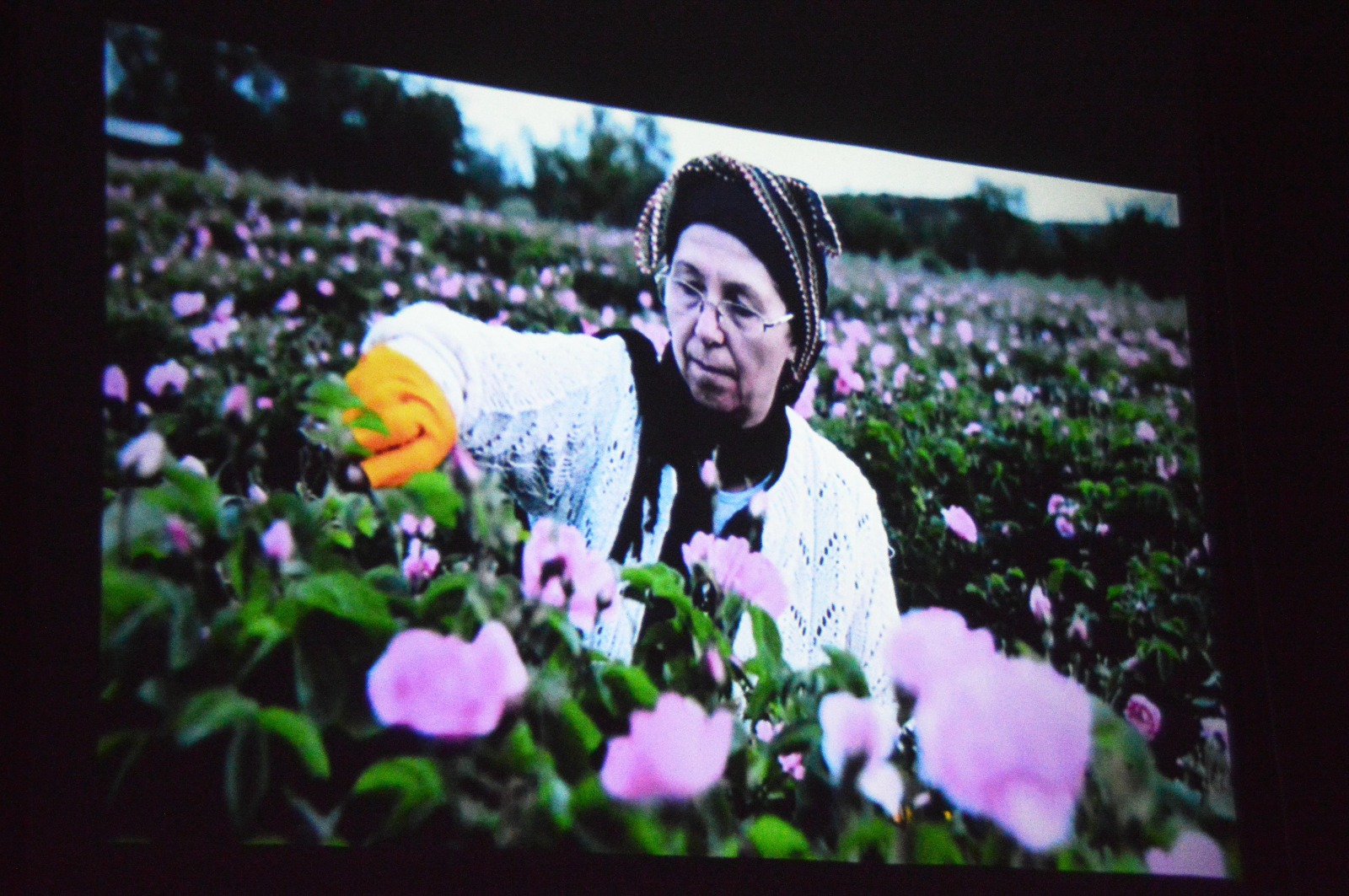 A N T A L Y A D A F O T O G R A F G O S T E R I M G U N L E R I 1103528 327593