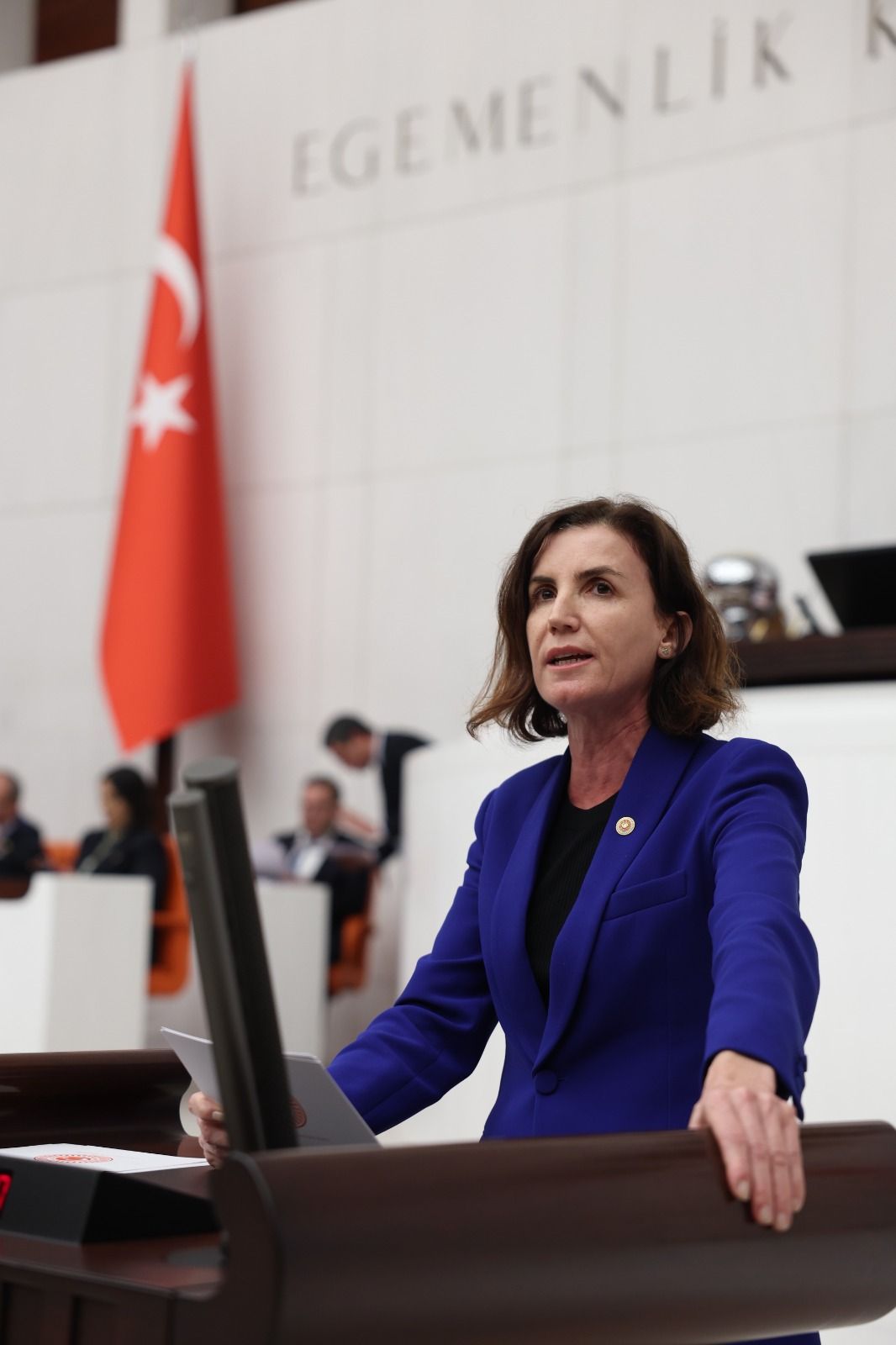 Aliye Coşar (1)-1