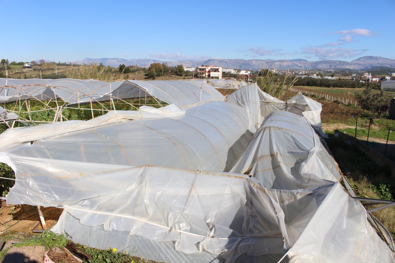 B U Y U K S E H I R B E L E D I Y E S I N D E N H O R T U M D A N Z A R 1116251 331408