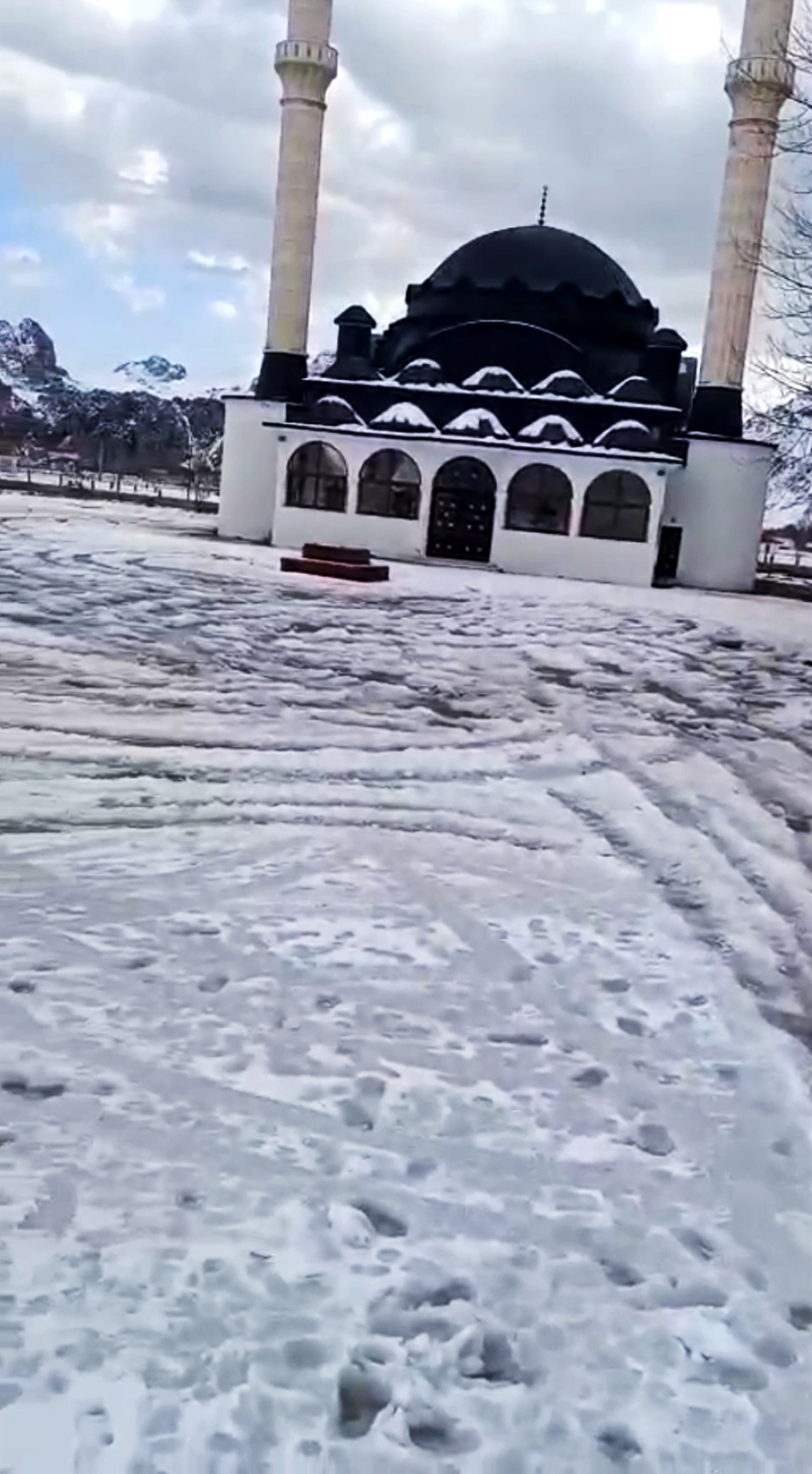 C A M I A V L U S U N D A D R I F T Y A P A N S U R U C U Y E 58 B 1104941 328002