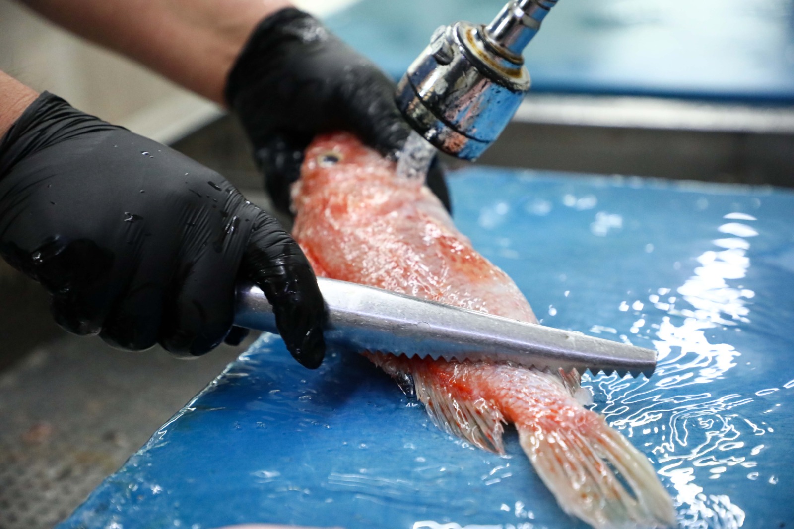 D U D E N B A L I K C A R S I S I N D A U Y G U N F I Y A T L I B A 1118792 332045