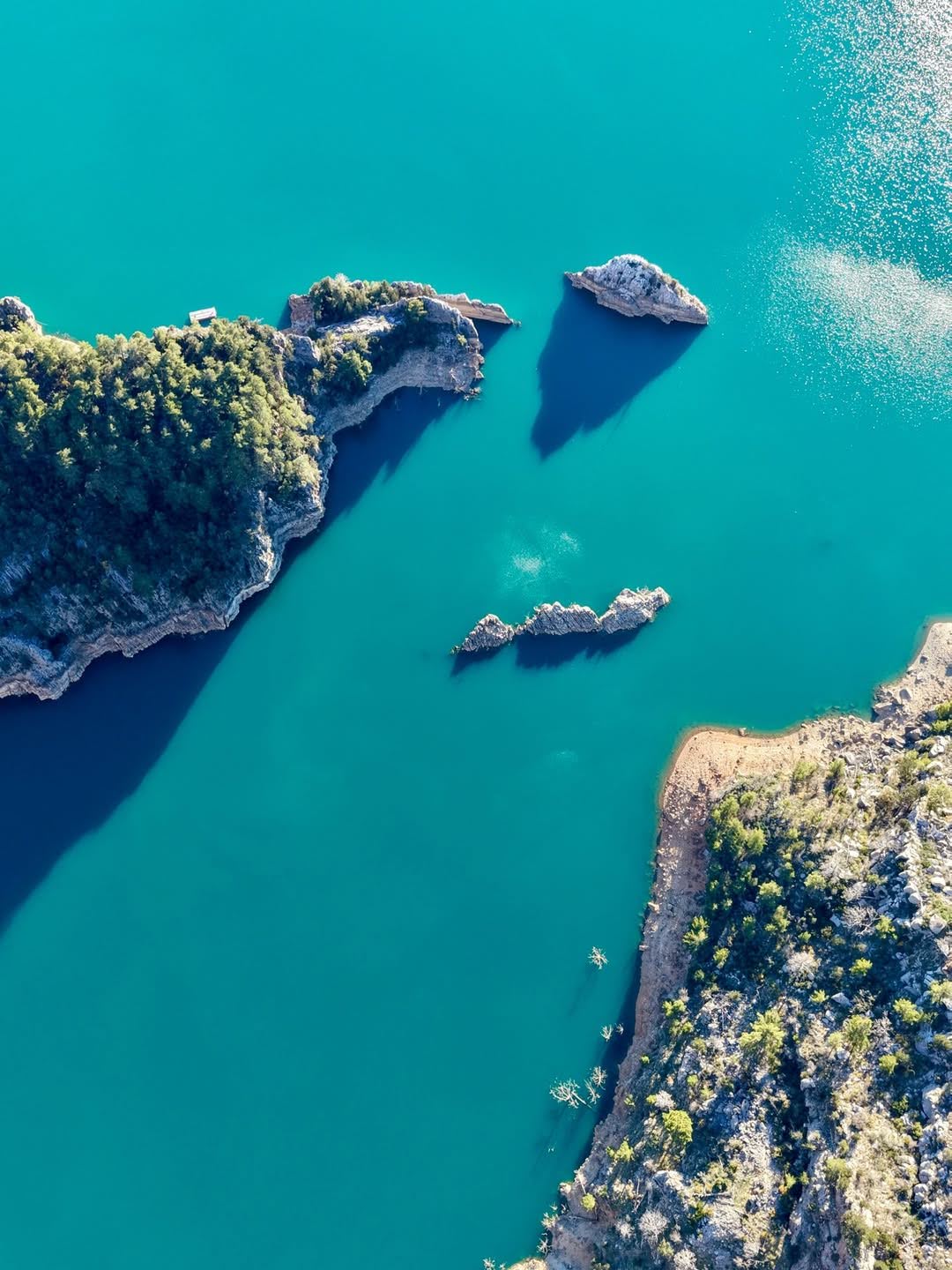 G Bx1Ne W4 A Alc I X