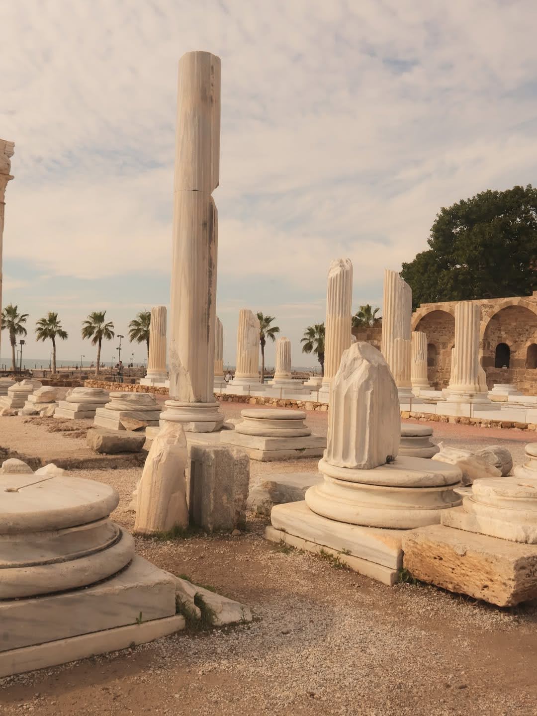 G G J D Wv Ws A A C00 K