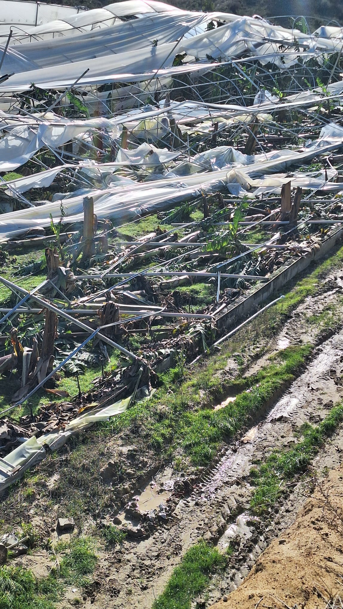 H O R T U M U N N E D E N O L D U G U Z A R A R G U N A G A R D I G 1106194 328410