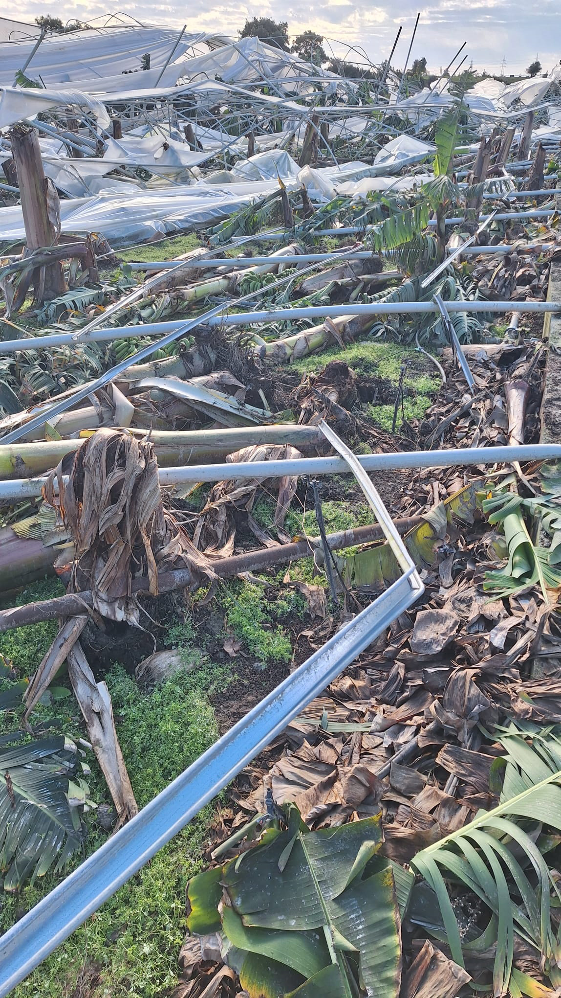 H O R T U M U N N E D E N O L D U G U Z A R A R G U N A G A R D I G 1106200 328410