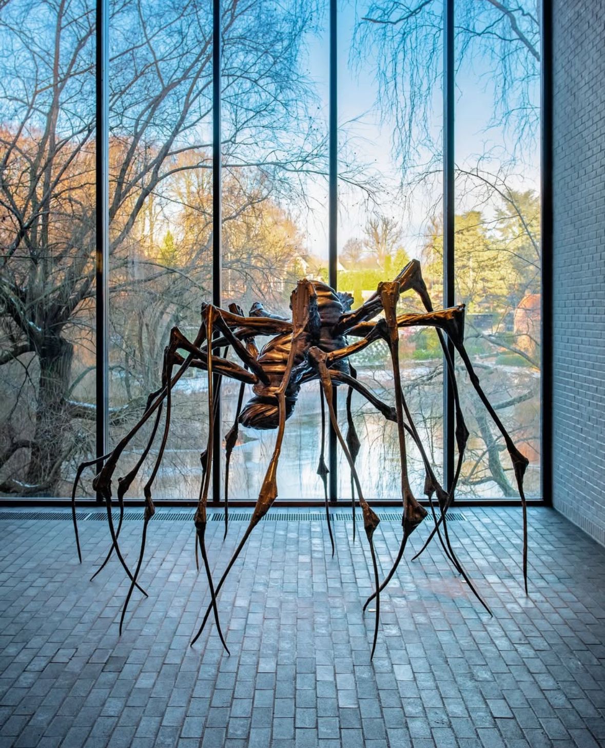 I M G 20260104 W A0031