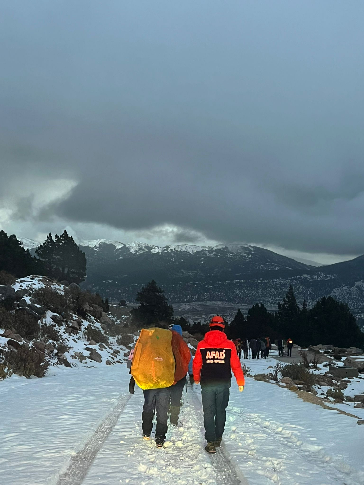 K A M P I C I N C I K T I K L A R I D A G D A M A H S U R K A L A N 1107551 328830