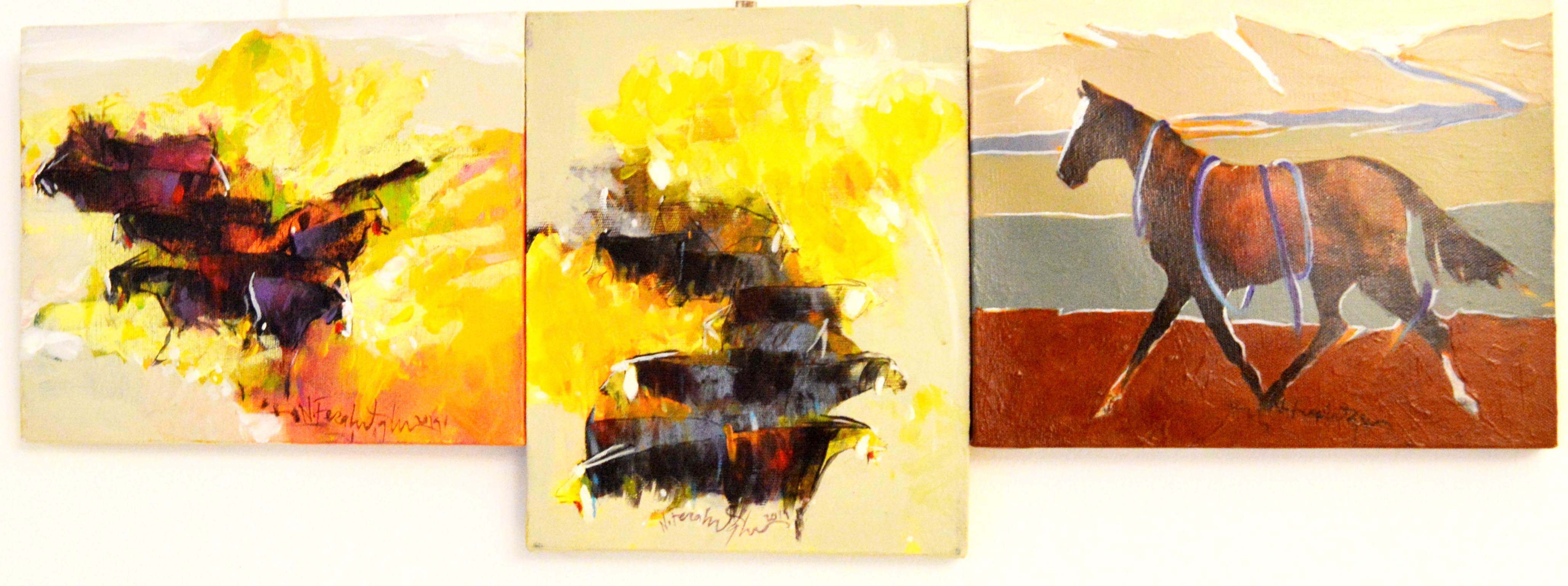 K A R A D E N I Z I N R E N K L E R I A N T A L Y A D A 1140387 338624