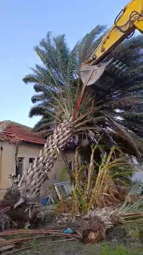 K A S T A F I R T I N A D A N S E R A L A R Z A R A R G O R D U A 1129037 335216