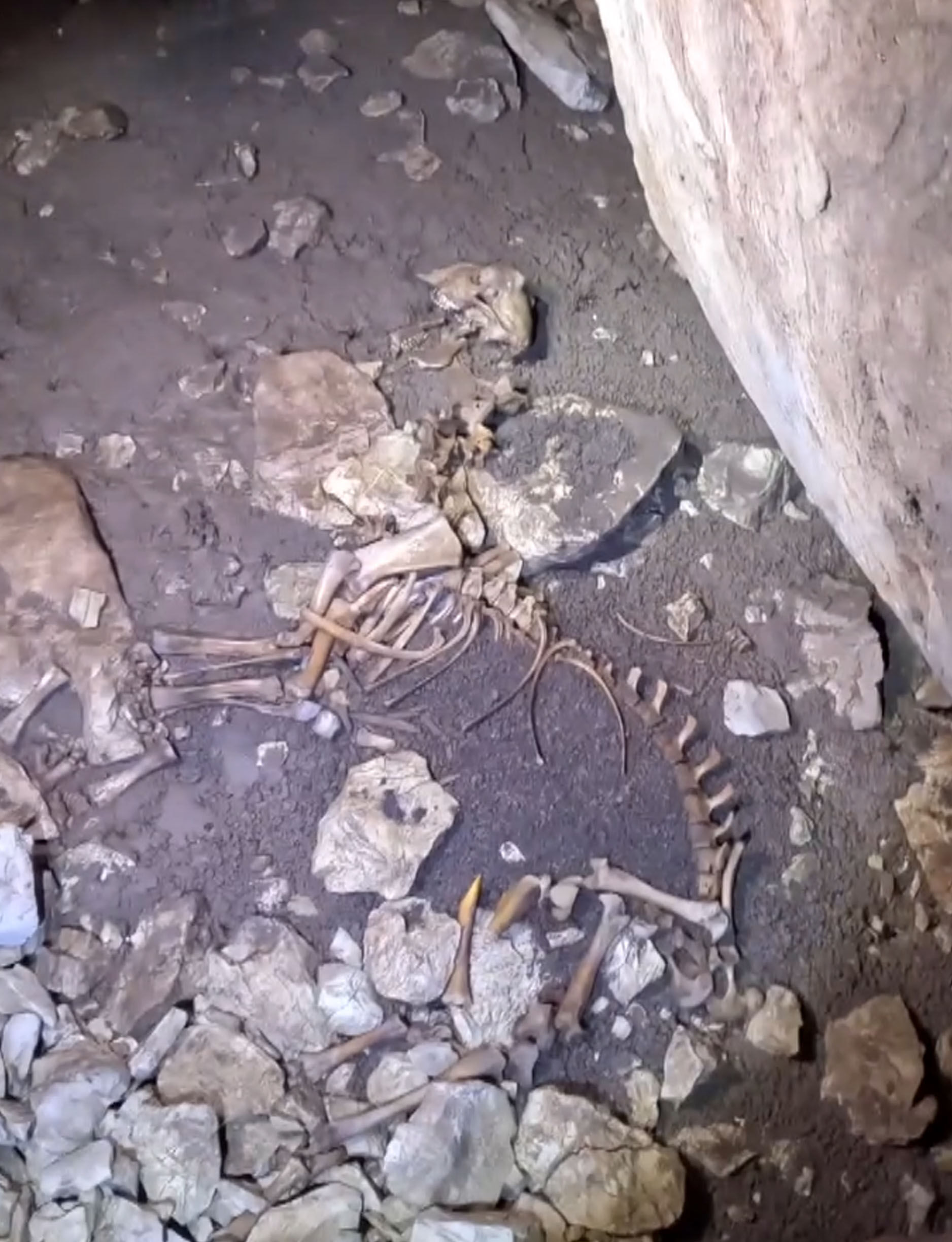 K E S I F I C I N G I R D I K L E R I M A G A R A D A H U R D A O T O 1110566 329666