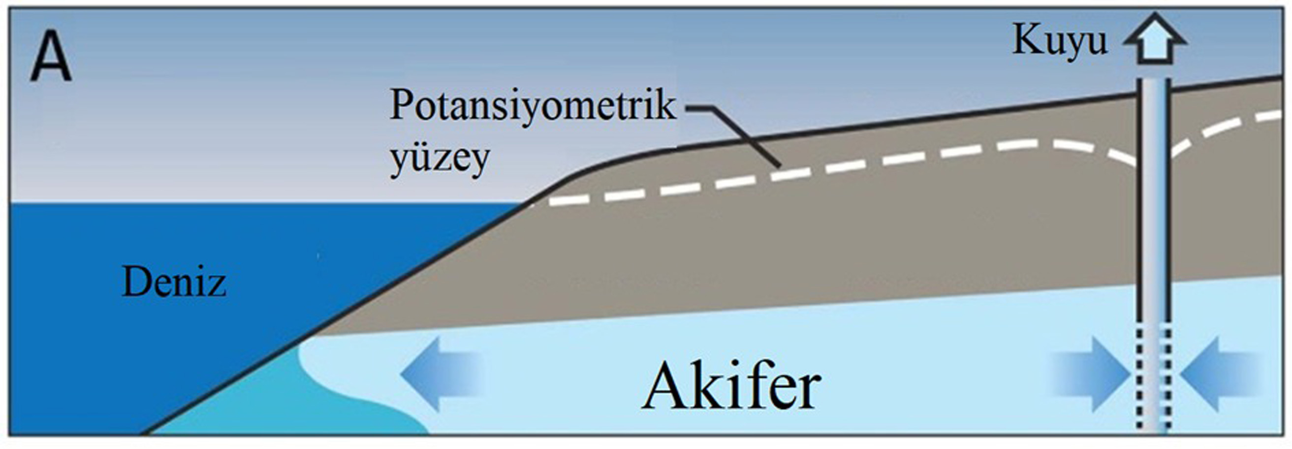 ‘ K I Y I Y L A T E M A S L I S E H I R L E R D E D E N I Z S U Y U Y 1097106 325651