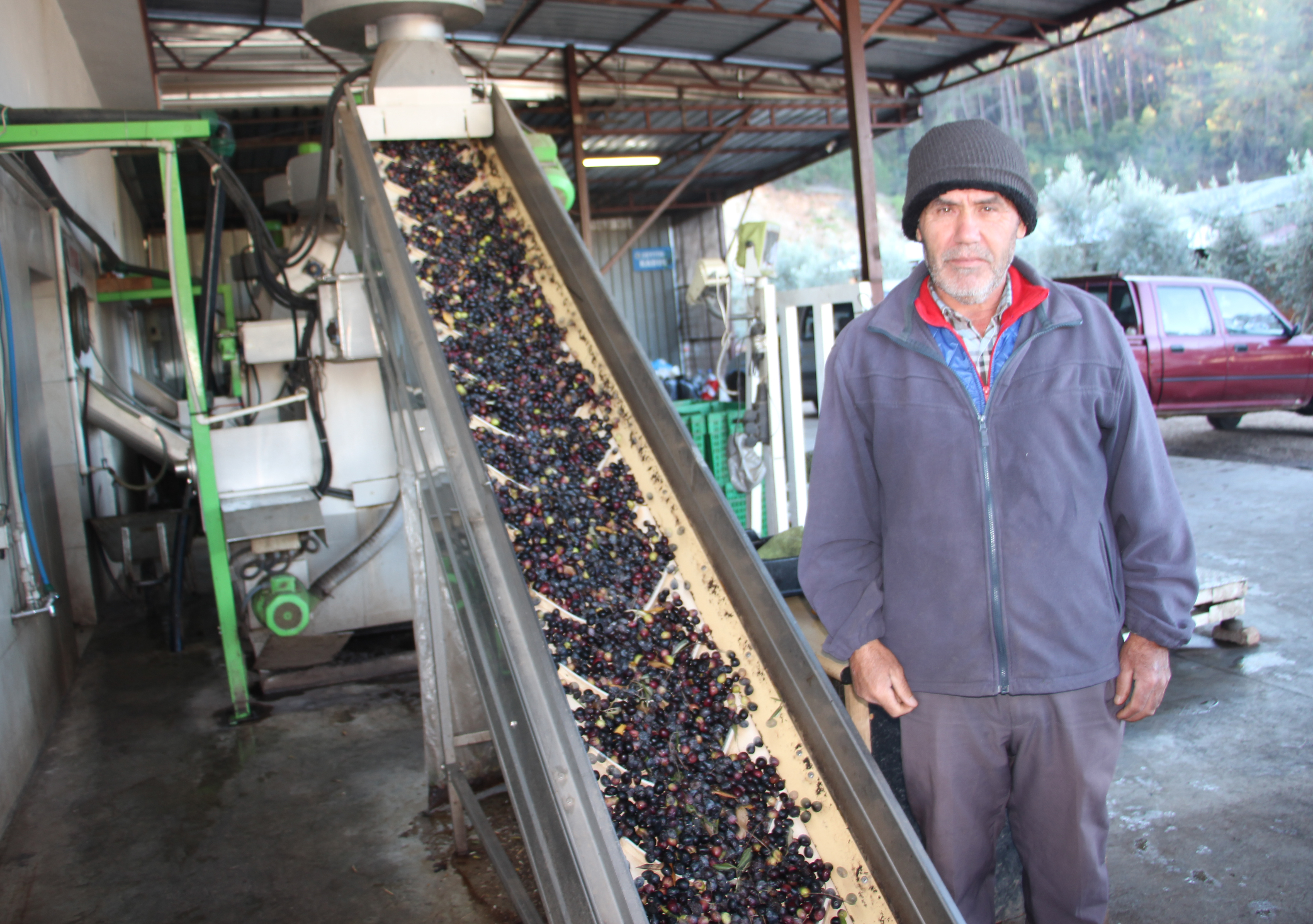 K U M L U C A Z E Y T I N Y A G I D E P O S U N A D O N D U 1105938 328312