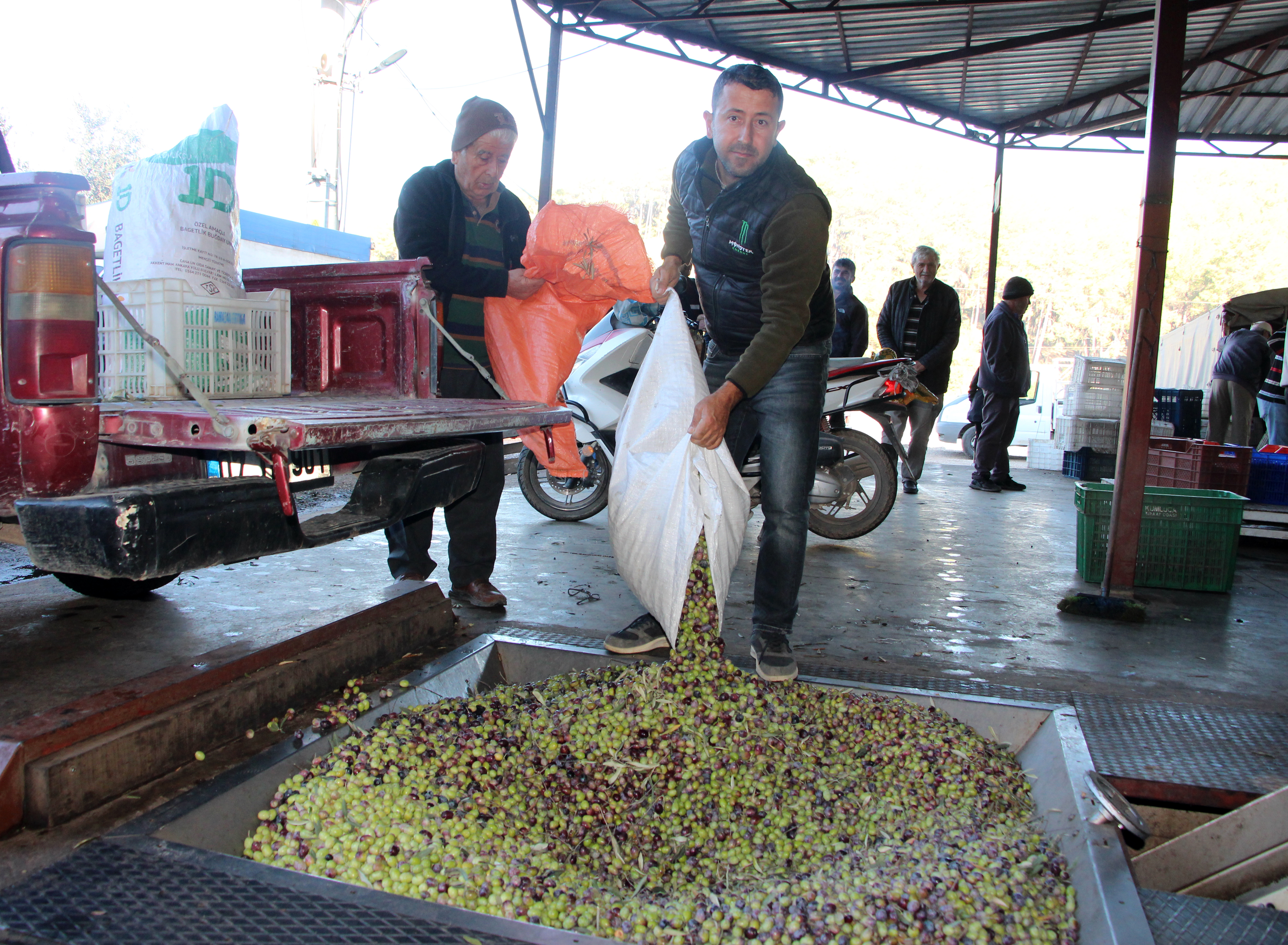 K U M L U C A Z E Y T I N Y A G I D E P O S U N A D O N D U 1105940 328312