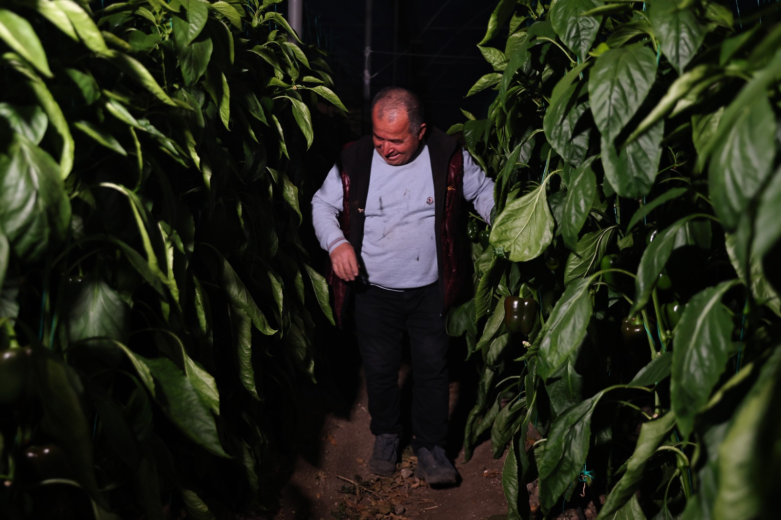 Kurşunlu’da Çiftçiye Hava Sensörü Hibesi (8)