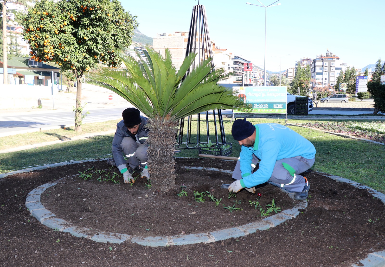 P A R K V E B A H C E L E R D E K I S C A L I S M A L A R I 1099077 326245