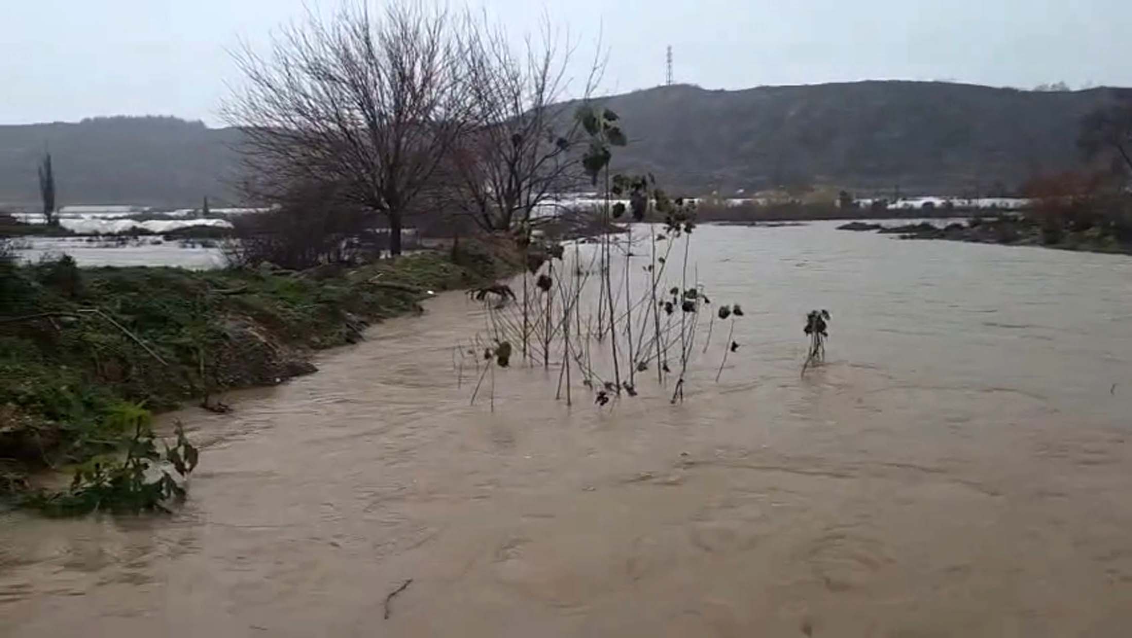 S A R I K O D L A U Y A R I L A N A N T A L Y A D A T A R I M A 1132027 336099