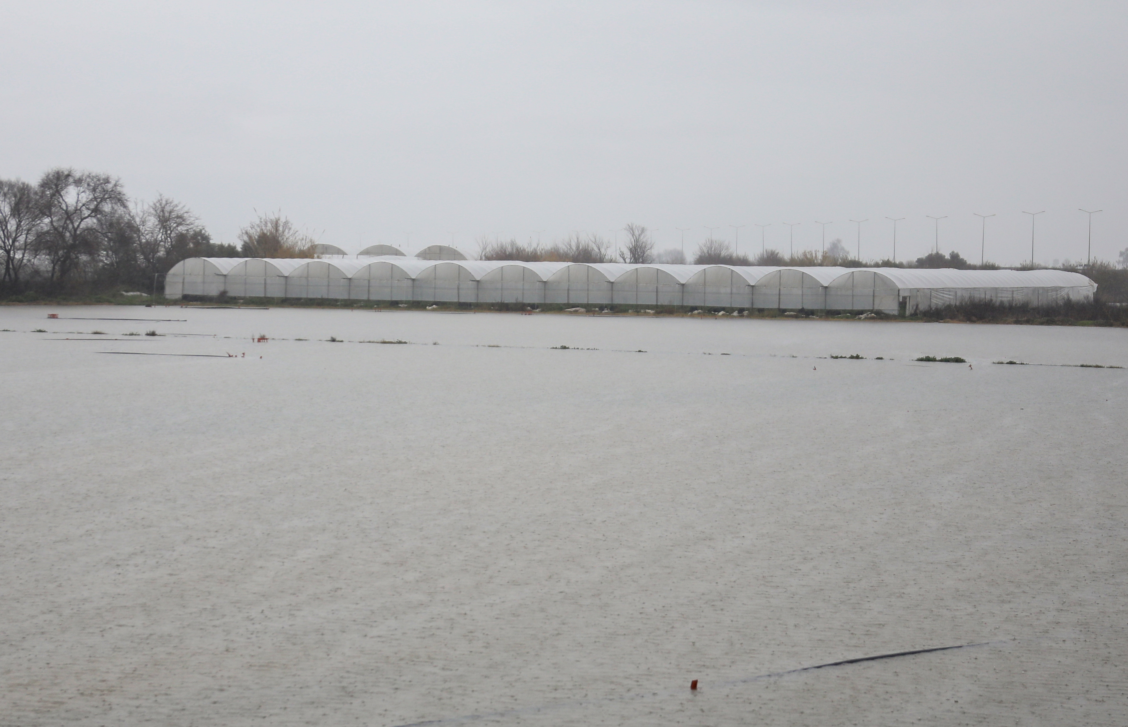 S A R I K O D L A U Y A R I L A N A N T A L Y A D A T A R I M A 1132066 336112